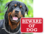 Designer Beware of Dog Signs