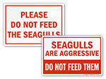 Do Not Feed Seagulls Sign
