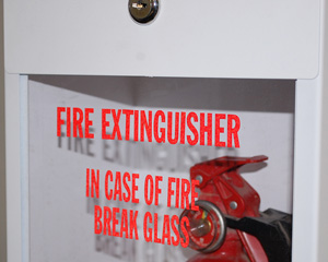 Break Glass in Case of Emergency Decal