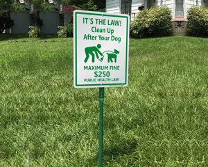 Clean Up After Your Dog Fine Signs