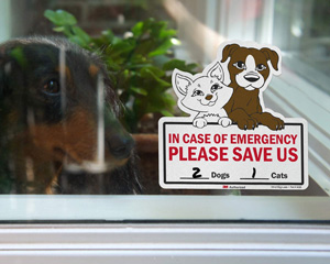 117 In Case of Emergency Rescue My Chihuahua Die Cut Vinyl Sticker dog safety