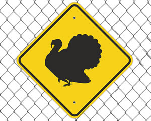 Slow Down Turkey Crossing Sign
