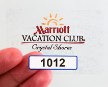 Windshield parking permit decals