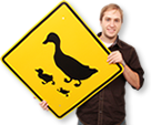 Duck Crossing Signs