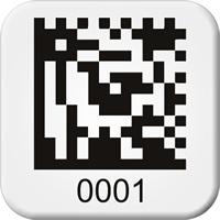 Sequential Pre Numbered 2D Barcode Labels, 0.75 x 0.75