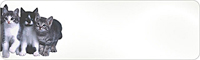 Designer Return Address Label, #20
