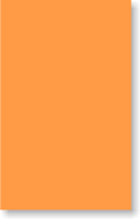 Fluorescent Orange Color Coded Labels