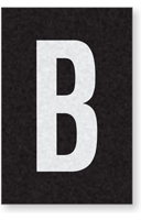 Engineer Grade Vinyl Numbers Letters White on black B