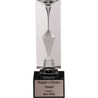 Custom Hologram Cup Award