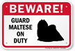Beware Guard Maltese On Duty Sign