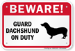 Beware! Guard Dachshund On Duty Guard Dog Sign