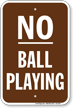 No Ball Playing No Loitering Sign