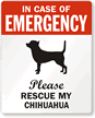 In Case Of Emergency, Please My Chihuahua Label