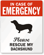 In Case Of Emergency, Please My Dachshund Label