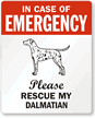 In Case Of Emergency, Please My Dalmatian Label