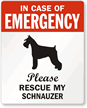 Emergency Pet Rescue Label - Schnauzer