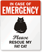 In Case Of Emergency, Please My Fat Cat Label