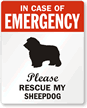 In Case Of Emergency, Please My Sheepdog Label