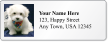 Custom Address Label With Pup Graphic