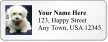 Customizable Address Label With Pup Symbol