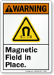 Magnetic Field In Place ANSI Warning Sign