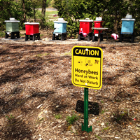 Caution - Honey Bees At Work,Safety sign