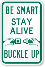 Be Smart Stay Alive Buckle Up