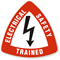 Electrical Safety Trained Triangle Hard Hat Decal
