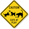 Caution Cats At Plays Sign