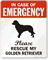 In Case Emergency, Rescue My Golden Retriever Label