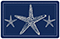 Nautical Sea Star Mat